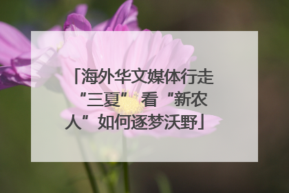 海外华文媒体行走“三夏” 看“新农人”如何逐梦沃野
