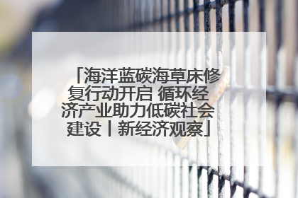 海洋蓝碳海草床修复行动开启 循环经济产业助力低碳社会建设丨新经济观察
