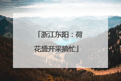 浙江东阳：荷花盛开采摘忙