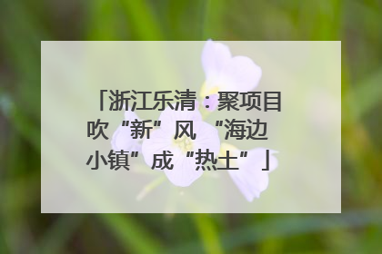 浙江乐清：聚项目吹“新”风 “海边小镇”成“热土”