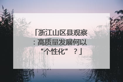 浙江山区县观察：高质量发展何以“个性化”？