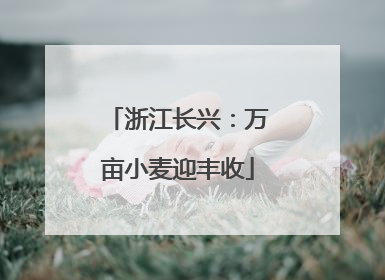 浙江长兴：万亩小麦迎丰收