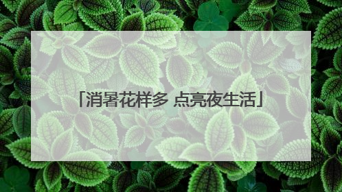 消暑花样多 点亮夜生活
