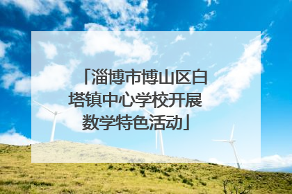 淄博市博山区白塔镇中心学校开展数学特色活动