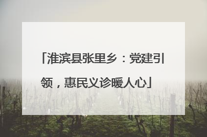 淮滨县张里乡：党建引领，惠民义诊暖人心
