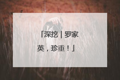 深挖｜罗家英，珍重！