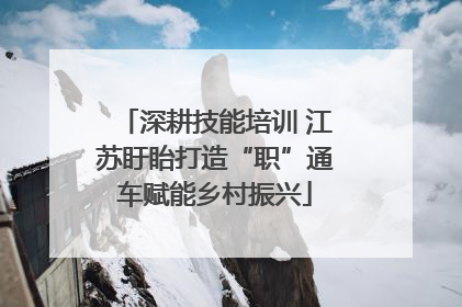 深耕技能培训 江苏盱眙打造“职”通车赋能乡村振兴