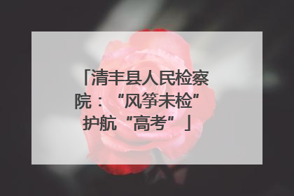 清丰县人民检察院：“风筝未检”护航“高考”