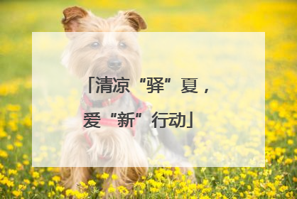 清凉“驿”夏，爱“新”行动