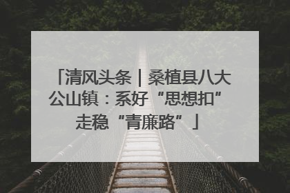 清风头条｜桑植县八大公山镇：系好“思想扣” 走稳“青廉路”