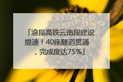 渝昆高铁云南段建设提速！40座隧道贯通，完成度达75%