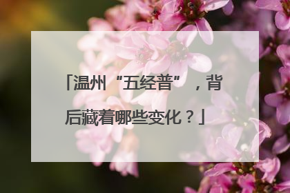 温州“五经普”，背后藏着哪些变化？