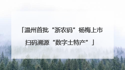 温州首批“浙农码”杨梅上市 扫码溯源“数字土特产”