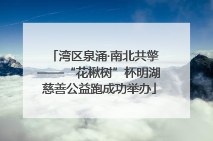 湾区泉涌·南北共擎——“花楸树”杯明湖慈善公益跑成功举办