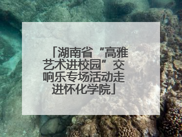 湖南省“高雅艺术进校园”交响乐专场活动走进怀化学院