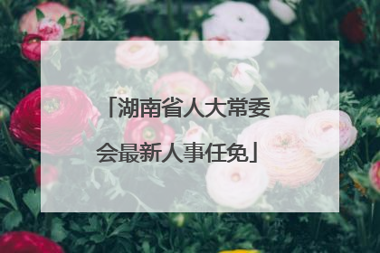 湖南省人大常委会最新人事任免
