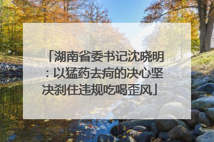 湖南省委书记沈晓明：以猛药去疴的决心坚决刹住违规吃喝歪风