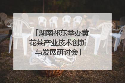 湖南祁东举办黄花菜产业技术创新与发展研讨会