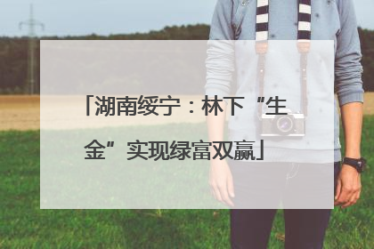 湖南绥宁：林下“生金”实现绿富双赢