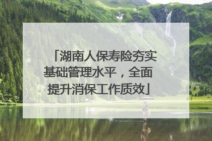 湖南人保寿险夯实基础管理水平，全面提升消保工作质效