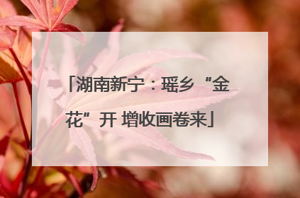 湖南新宁：瑶乡“金花”开 增收画卷来