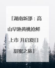 湖南新邵：高山早熟黄桃抢鲜上市 开启夏日甜蜜之旅