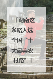 湖南这条路入选全国“十大最美农村路”