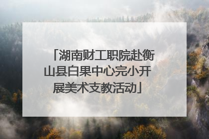 湖南财工职院赴衡山县白果中心完小开展美术支教活动