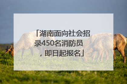 湖南面向社会招录450名消防员，即日起报名