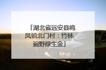 湖北省远安县鸣凤镇北门村：竹林遍野绿生金