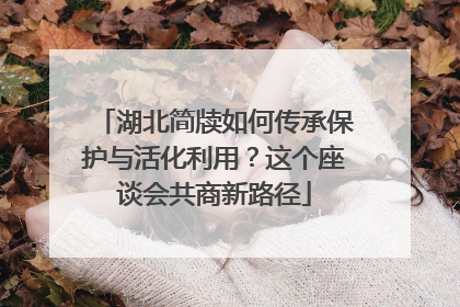 湖北简牍如何传承保护与活化利用？这个座谈会共商新路径