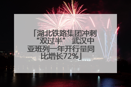 湖北铁路集团冲刺“双过半” 武汉中亚班列一年开行量同比增长72%