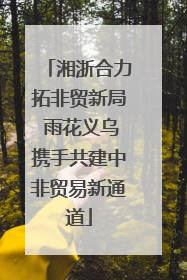 湘浙合力拓非贸新局 雨花义乌携手共建中非贸易新通道