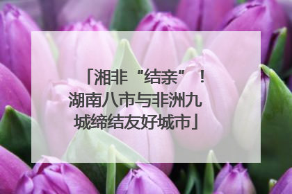 湘非“结亲”！湖南八市与非洲九城缔结友好城市