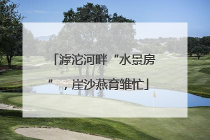 滹沱河畔“水景房”，崖沙燕育雏忙