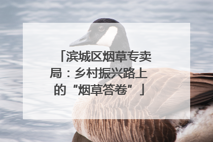 滨城区烟草专卖局：乡村振兴路上的“烟草答卷”