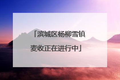 滨城区杨柳雪镇麦收正在进行中