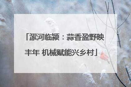 漯河临颍：蒜香盈野映丰年 机械赋能兴乡村