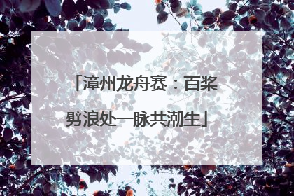 漳州龙舟赛：百桨劈浪处一脉共潮生
