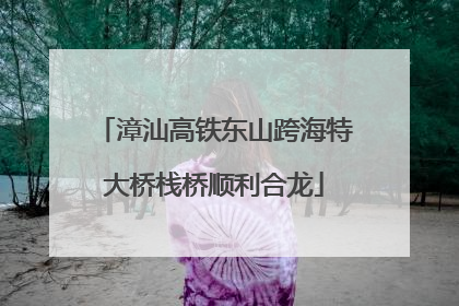 漳汕高铁东山跨海特大桥栈桥顺利合龙