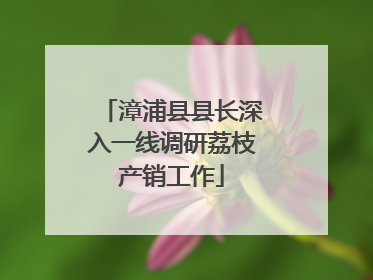 漳浦县县长深入一线调研荔枝产销工作