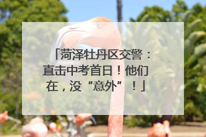 菏泽牡丹区交警：直击中考首日！他们在，没“意外”！