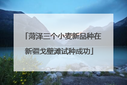 菏泽三个小麦新品种在新疆戈壁滩试种成功