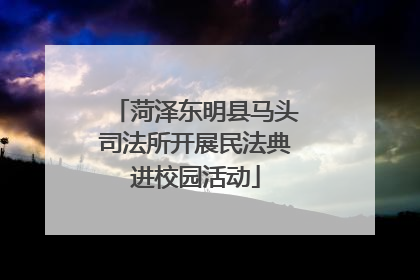 菏泽东明县马头司法所开展民法典进校园活动