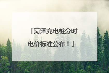 菏泽充电桩分时电价标准公布！