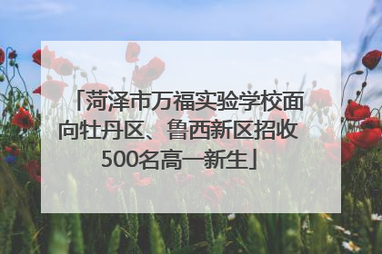 菏泽市万福实验学校面向牡丹区、鲁西新区招收500名高一新生