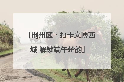 荆州区：打卡文博西城 解锁端午楚韵