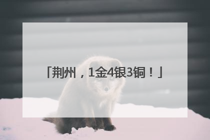 荆州，1金4银3铜！