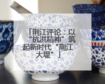 荆江评论：以“抗洪精神”筑起新时代“荆江大堤”