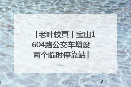 老叶较真丨宝山1604路公交车增设两个临时停靠站